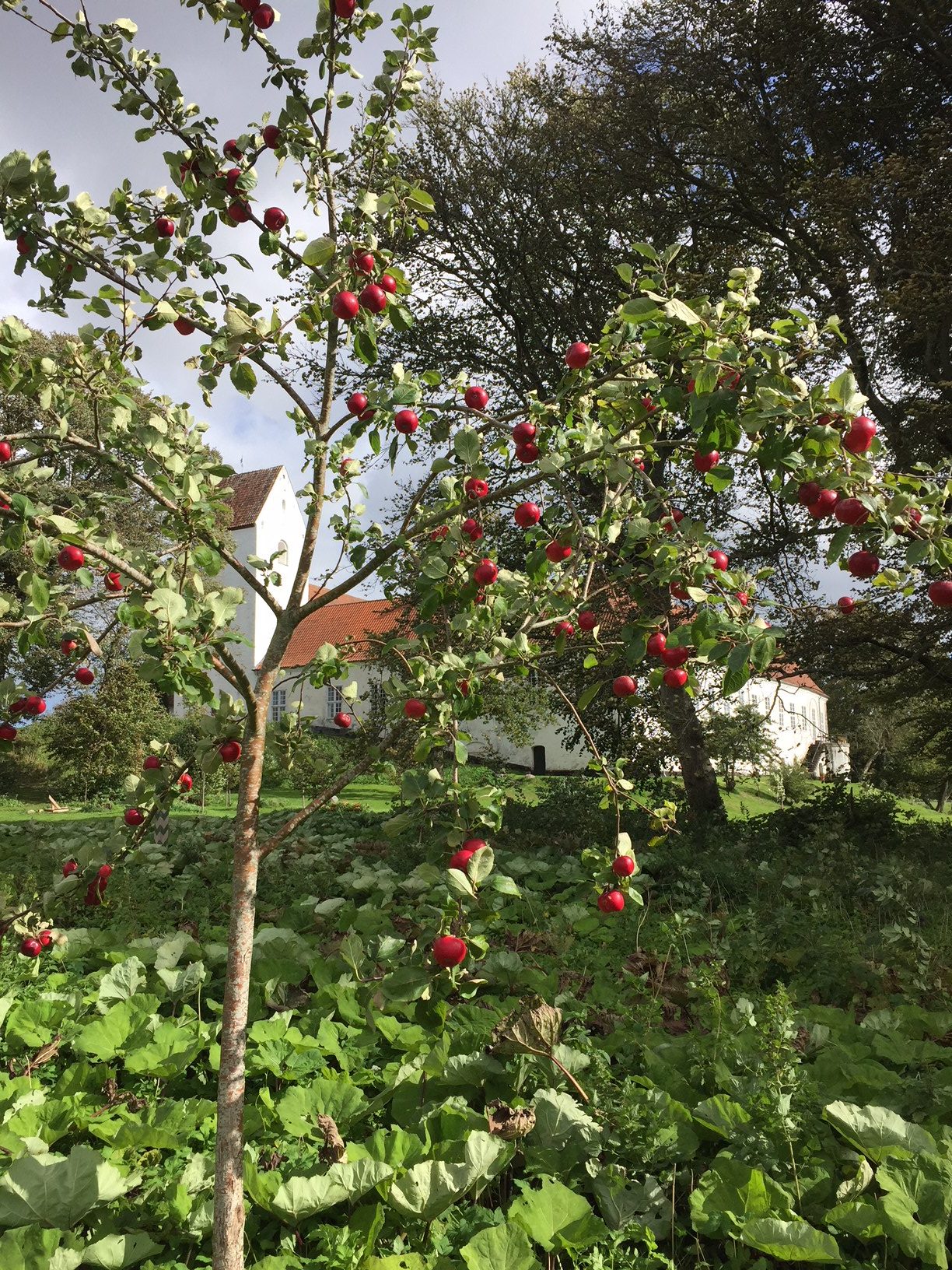 Om Ørslev Kloster og oktober